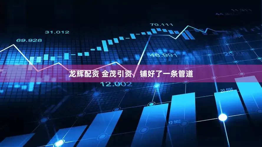 龙辉配资 金茂引资，铺好了一条管道