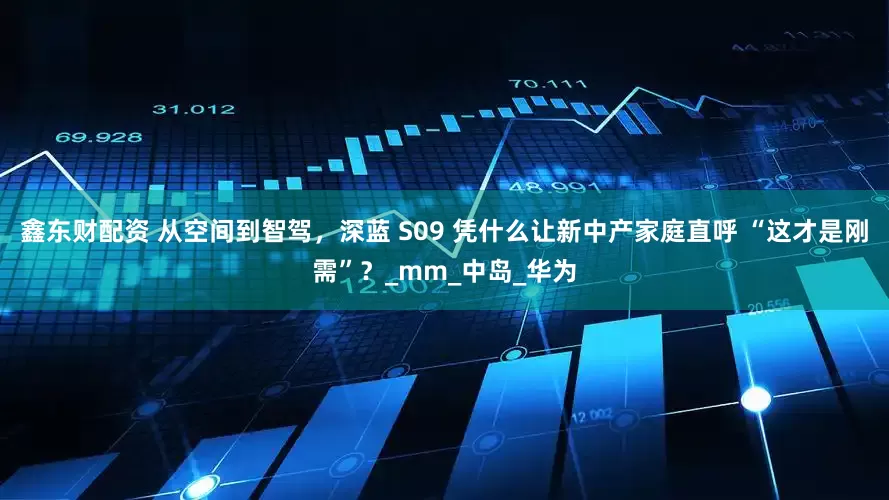 鑫东财配资 从空间到智驾，深蓝 S09 凭什么让新中产家庭直呼 “这才是刚需”？_mm_中岛_华为