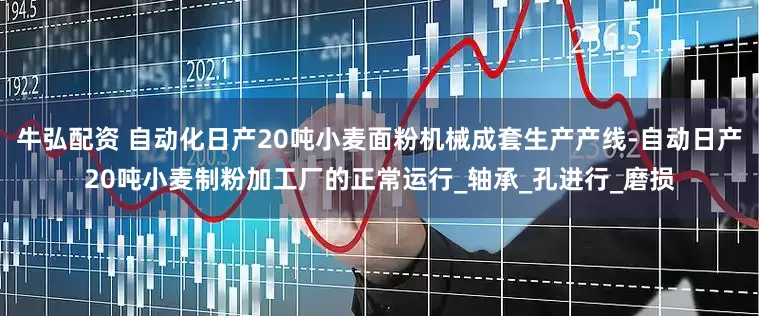 牛弘配资 自动化日产20吨小麦面粉机械成套生产产线-自动日产20吨小麦制粉加工厂的正常运行_轴承_孔进行_磨损