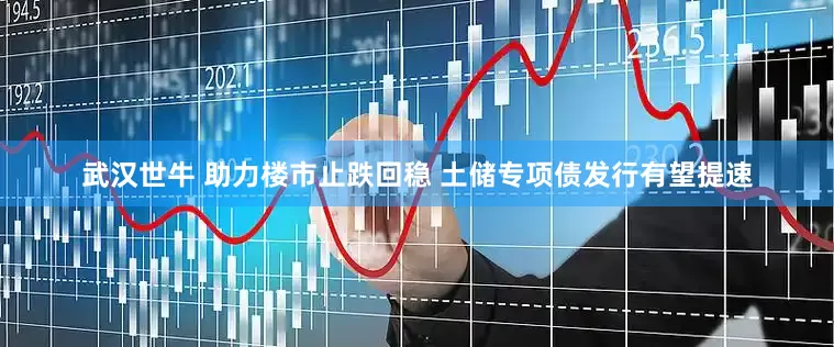 武汉世牛 助力楼市止跌回稳 土储专项债发行有望提速